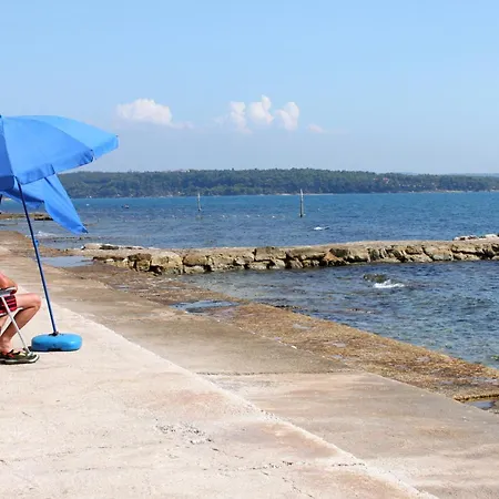 Seaside With A Swimming Pool Novigrad - 25255